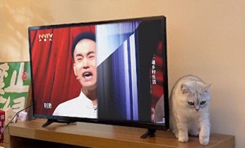 越狱禁闭攻略第七关(不可能完成的越狱第一关攻略)插图16