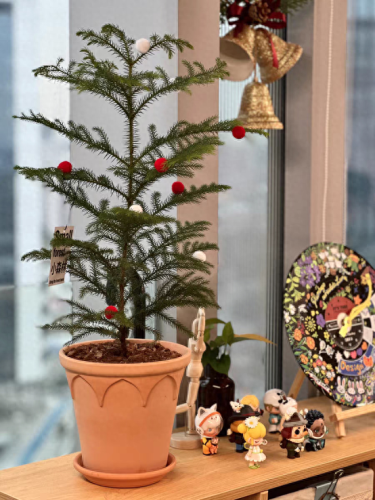 锈湖攻略种花(锈湖交流中的攻略)插图8