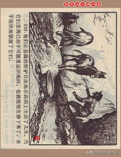 重返神秘岛1(重返神秘岛1机器人密码)插图130