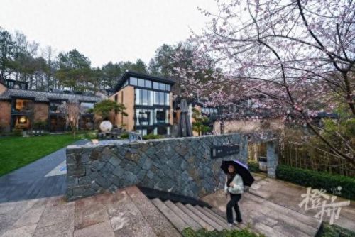 樱之路(穿越火线击杀音效)插图18 樱之路(穿越火线击杀音效)插图18