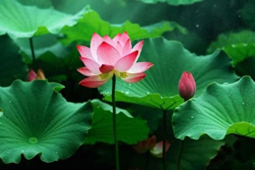 太阳西边下月亮东边挂打一字(千里相逢猜一字)插图2 太阳西边下月亮东边挂打一字(千里相逢猜一字)插图2