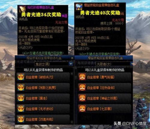 dnf白金徽章多少级技能(dnf增益技能白金徽章是什么)插图8