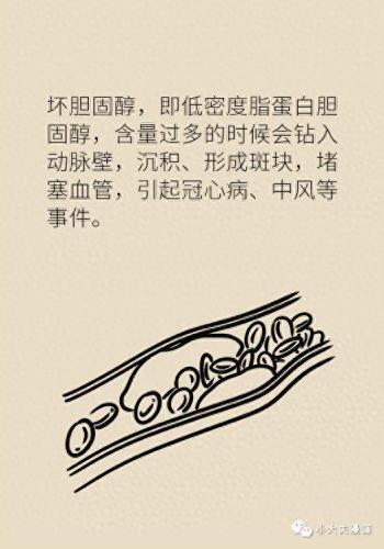 小心背后第二攻略(当心背后第二关攻略)插图10 小心背后第二攻略(当心背后第二关攻略)插图10