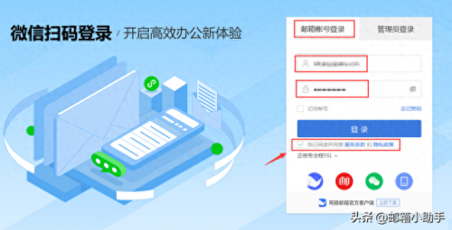 网易pop(pop合集)插图