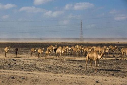 新吉布城市是哪个国家(吉布是哪个国家)插图1