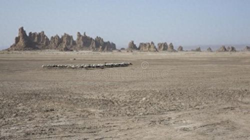 新吉布城市是哪个国家(吉布是哪个国家)插图3