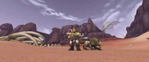 兽人猎人锁甲幻化装备大全(猎人装备幻化排行榜)插图4