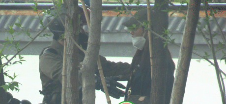 万籽麟刚得知被分手(万籽麟)插图13