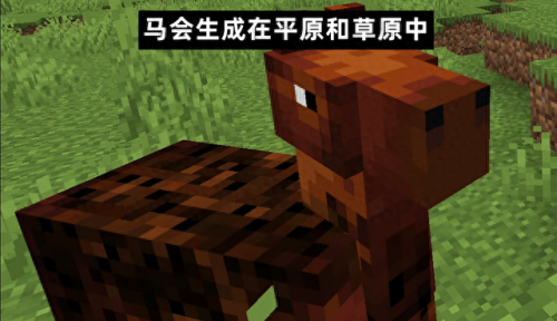 我的世界马(我的世界马厩教程)插图