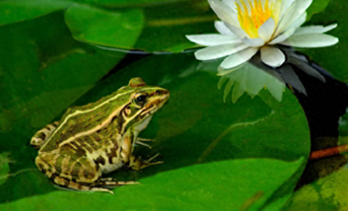 畜禽和人类AA(畜禽产品质量安全方面的工作总结)插图18 畜禽和人类AA(畜禽产品质量安全方面的工作总结)插图18