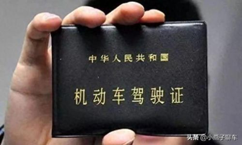 懒人驾考(懒人驾考科目一科目四)