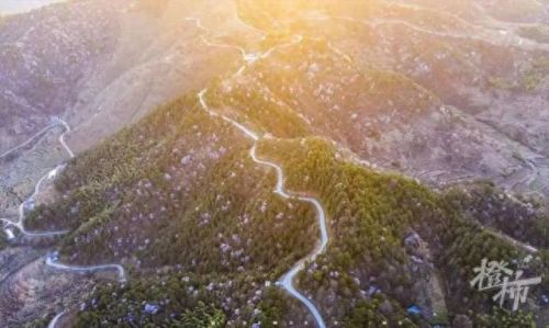 樱之路(穿越火线击杀音效)插图40 樱之路(穿越火线击杀音效)插图40