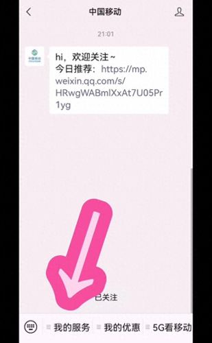 手机话费清单查询(话费余额查询)插图4 手机话费清单查询(话费余额查询)插图4