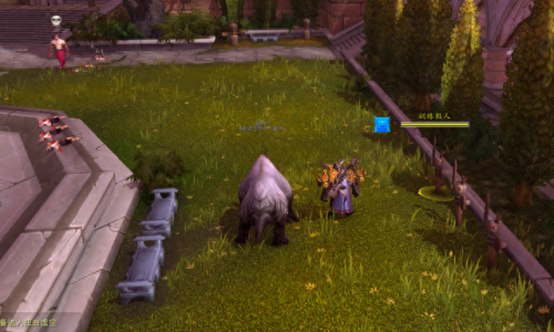 怎么去潘达利亚(魔兽潘达利亚的黄金莲怎么得)插图53