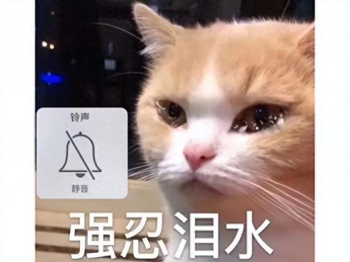 图腾部落黄金版剧情攻略(图腾部落黄金版图文全攻略)插图 图腾部落黄金版剧情攻略(图腾部落黄金版图文全攻略)插图