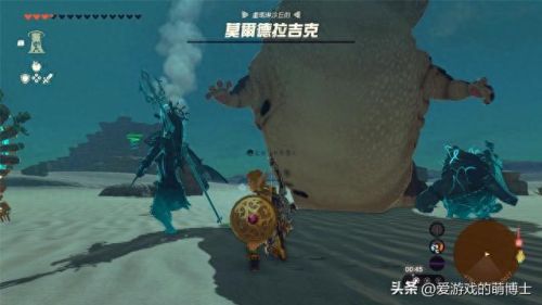 塞尔达最好的装备(塞尔达必拿装备清单)插图1