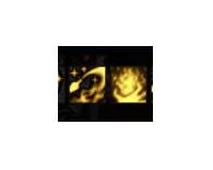 dnf正义审判(dnf审判百科)插图11 dnf正义审判(dnf审判百科)插图11