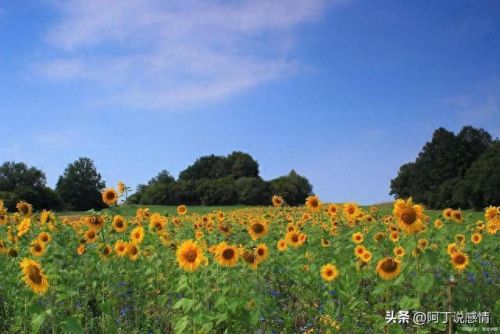 不负流年攻略(不负流年上一句是什么)插图6 不负流年攻略(不负流年上一句是什么)插图6