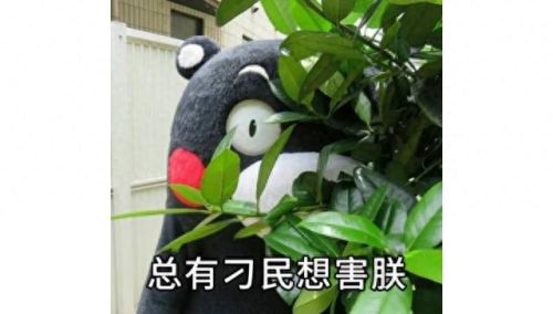 女王的英文单词是什么(我的女王大人英文)插图11 女王的英文单词是什么(我的女王大人英文)插图11