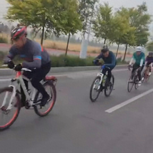 人在风中阅读答案(风睡着了阅读答案)