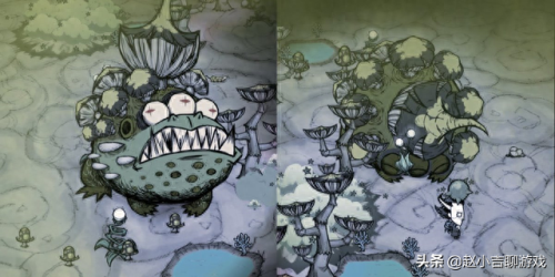 饥荒蟾蜍打法攻略(饥荒金蟾蜍怎么开大)插图4 饥荒蟾蜍打法攻略(饥荒金蟾蜍怎么开大)插图4