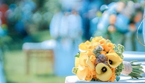 植物保卫战无限叶子(植物保卫战游戏全攻略)插图11