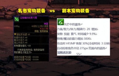 dnf 宠物(dnf宠物大全)插图4