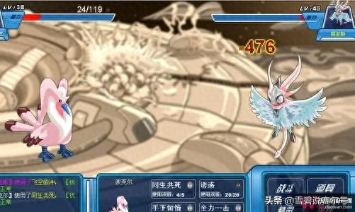 闪光皮皮怎么抓(闪光皮皮鼠)插图3