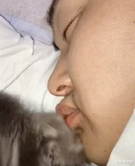 现在装备还能吃吗(装备镶嵌宝石还能换么)插图21 现在装备还能吃吗(装备镶嵌宝石还能换么)插图21