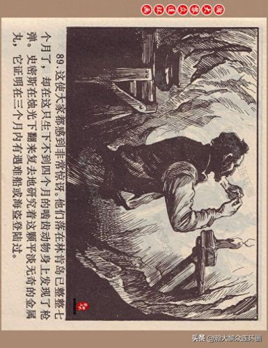 重返神秘岛1(重返神秘岛1机器人密码)插图91