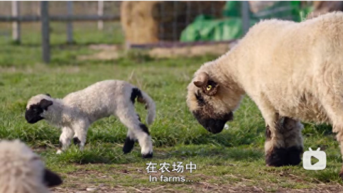 24小时免费看b站的软件苹果(晚上睡不着觉偷偷打开b站)插图17 24小时免费看b站的软件苹果(晚上睡不着觉偷偷打开b站)插图17