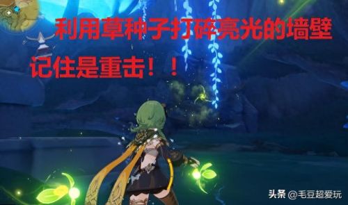 伞盖的荫蔽(伞盖是什么意思)插图4