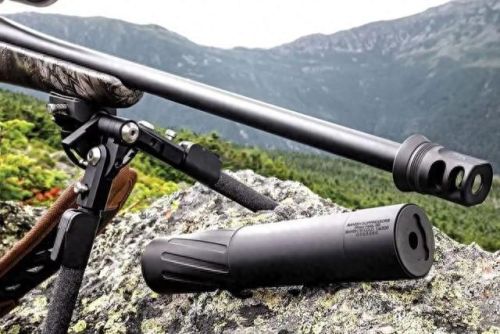 狂蟒之吻(狂蟒2电影完整版)插图2