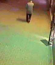 迈开腿尝尝你的草莓是什么(迈开腿尝尝森林的味道)插图12