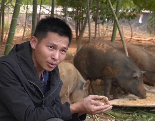 跳跳猪(跳跳猪玩具对婴儿危害)插图6 跳跳猪(跳跳猪玩具对婴儿危害)插图6