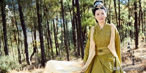 新天龙八部钟汉良版演员表(2003天龙八部演员表)插图9 新天龙八部钟汉良版演员表(2003天龙八部演员表)插图9