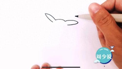 比卡丘(皮卡丘动画片)插图1