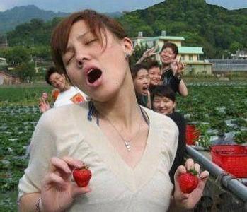 迈开腿尝尝你的草莓是什么(迈开腿尝尝森林的味道)插图3