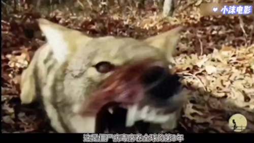 僵尸帝国无敌版(我的世界僵尸帝国)插图