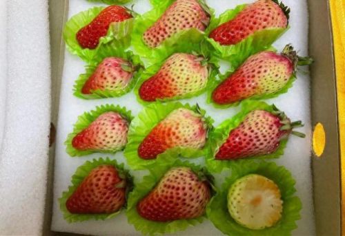 网上买菜(网上买菜哪个平台好)插图3