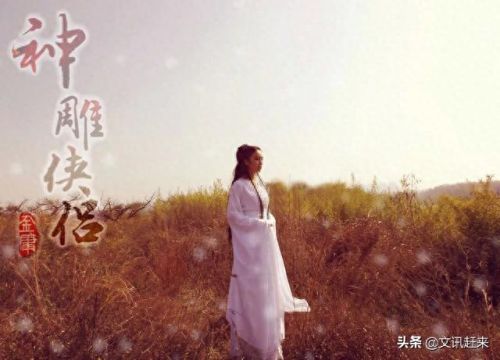 武林天龙(武林群侠传天龙路线)插图12