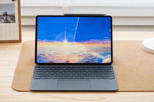 我的猫在哪里攻略13(我的猫2攻略)插图4