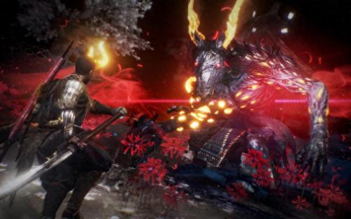 仁王刀开荒技能加点(仁王加点推荐有哪些)插图