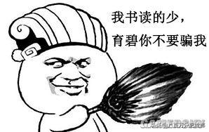 刺客信条2真相解密(刺客信条2真相转盘)插图3