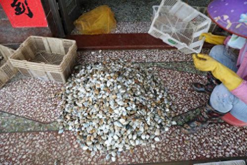 情人岛在哪里(情人岛惠州位置)插图7 情人岛在哪里(情人岛惠州位置)插图7