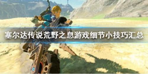 荒野之息第五个技能(荒野之息四个技能)插图 荒野之息第五个技能(荒野之息四个技能)插图