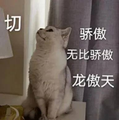 龙傲天是什么意思(没人能拒绝我龙傲天是什么意思)插图