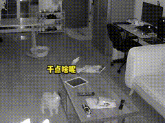 越狱禁闭攻略第七关(不可能完成的越狱第一关攻略)插图18