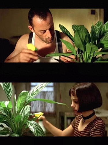 锈湖攻略种花(锈湖交流中的攻略)插图