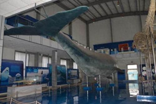 火影忍者疾风传537(火影忍者疾风传552)插图23 火影忍者疾风传537(火影忍者疾风传552)插图23